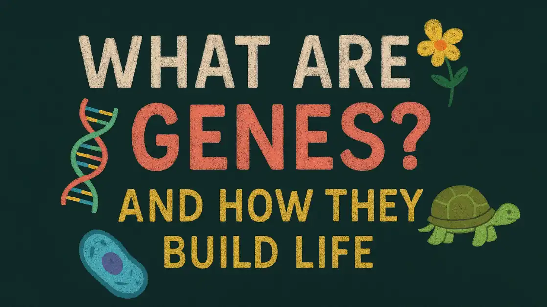 What Are Genes? And How They Build Every Living Thing