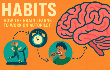 Lesson 5: Habits – How the Brain Learns to Work on Autopilot