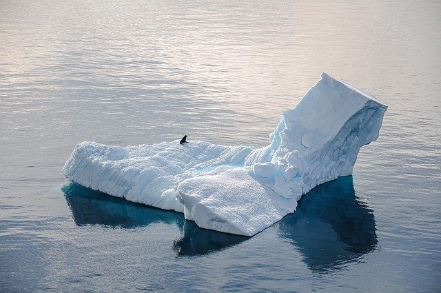 Sometimes the best way to understand why something matters is to imagine what life would be like without it. So let’s play with a “what if” question: What if ice didn’t float, but sank instead?