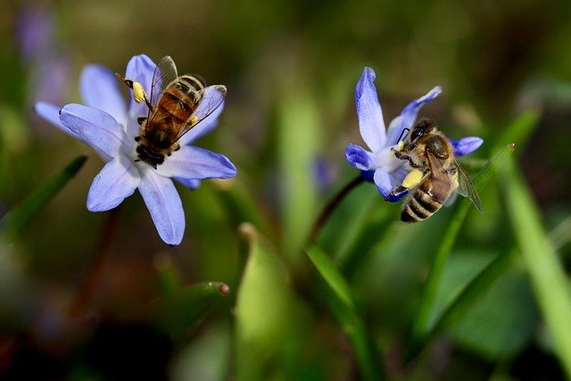 Every food chain might seem small at first—just a plant, a rabbit, and a fox. But when you zoom out, you’ll see it’s part of something much bigger: the balance of life on Earth.