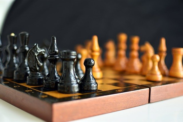 chess-5541645_640 When parents in Felton Gables think about chess training, they don’t just want lessons