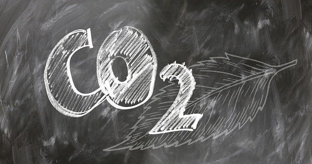 We sometimes forget just how much our bodies depend on air. On average, a person takes about 20,000 breaths a day. With every breath, oxygen flows into our lungs, passes into our blood, and travels to every cell in the body. Without it, our cells can’t make the energy we need to move, think, and grow.