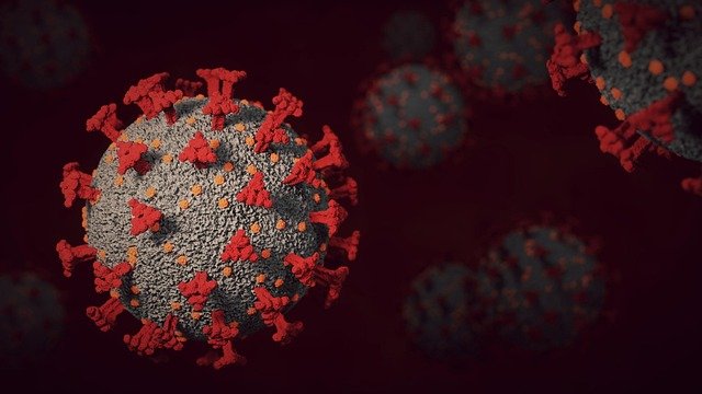 Understand how viruses and bacteria differ. A clear, easy guide to germs, sickness, and staying healthy!