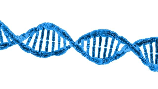 Explore DNA—the hidden code of life. Learn how it shapes every plant, animal, and human in a fun, simple way!