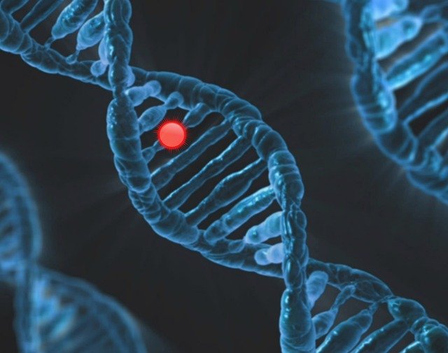 At first, scientists thought DNA looked like a messy string. But when they looked closer, they discovered something breathtaking: DNA has the shape of a twisted ladder.