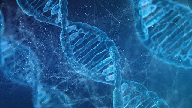Learning about DNA doesn’t have to stay in a classroom or textbook. With a little creativity, kids can explore DNA at home, in the kitchen, or even outside. Here are some activities that make the “secret code of life” come alive.