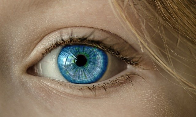 Discover how sight, hearing, smell, taste, and touch help us explore the world. A fun guide to the five senses for curious kids!