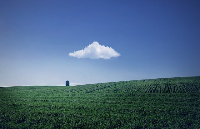 Most of the time, when we think of the sky, we picture a bright, happy blue. But some days, the sky feels dull, grey, or just plain white. It might seem sad, but there’s a simple science behind it.