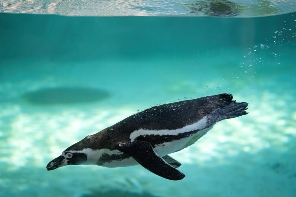 Find out why some things float and others sink! Learn the science of buoyancy with kid-friendly examples and fun activities.