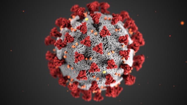 Viruses are also very, very small—so tiny that even most microscopes can’t see them. But here’s the twist: unlike bacteria, viruses are not really alive on their own.