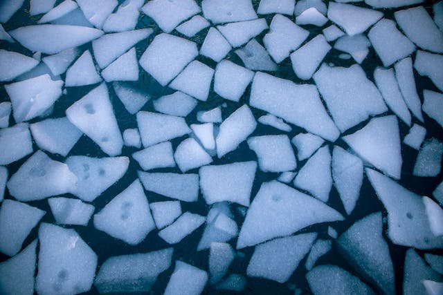 Water is not just special because ice floats. It has several other unusual behaviors that make it very different from most liquids—and without them, life would be impossible.