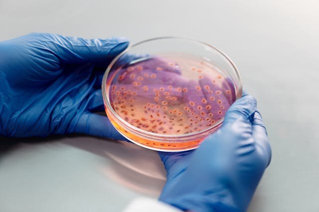 At first glance, viruses and bacteria might seem alike—they’re both tiny, they both can make us sick, and we can’t see them with our eyes. But when you look closer, they’re as different as night and day.