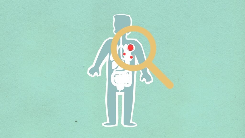 Your body is not helpless against germs. In fact, it has its very own superhero team—the immune system. This system works day and night to keep you safe, often without you even noticing.