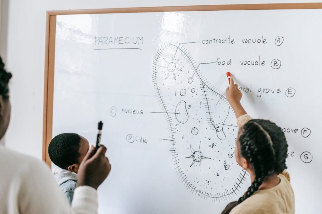 Imagine walking into a tiny, busy world — where every corner is full of little machines, rivers, workers, and messages flying around. That’s what a cell is like.
