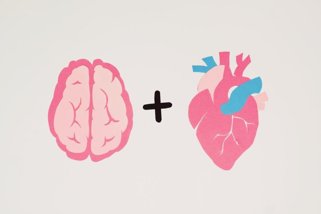 The heart is really good at keeping time. But just like a drummer in a band, it needs to stay steady.