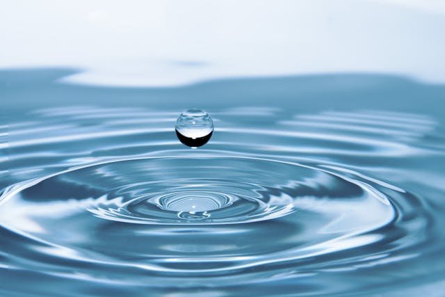 Now think about water. Or milk. Or juice. These are liquids.
