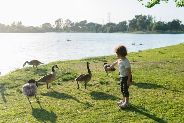 Many children believe they are too small to make a difference. But history shows us that change often starts with small actions. Every choice you make, every habit you build, and every voice you raise can help protect animals and the planet. You don’t need to be a scientist or a leader. You just need to care and take small, smart steps.
