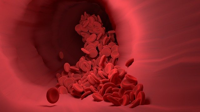 Blood may seem simple, but it’s doing hundreds of important jobs every second. It’s like your body’s super transport system, moving things around nonstop — day and night, whether you're asleep or running in the playground.