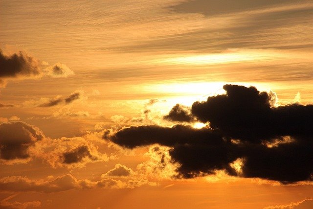 Shadows aren’t just a human curiosity — they’re part of how the natural world works. Every day, animals, plants, and landscapes use shadows in ways that help them survive.