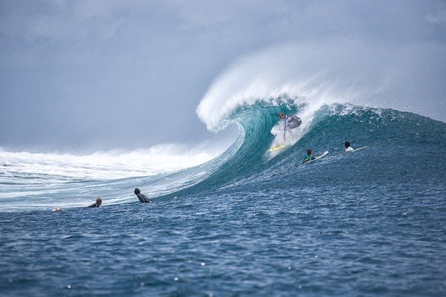 Even though waves can happen in many forms, scientists often group them into two main types based on how the particles move: