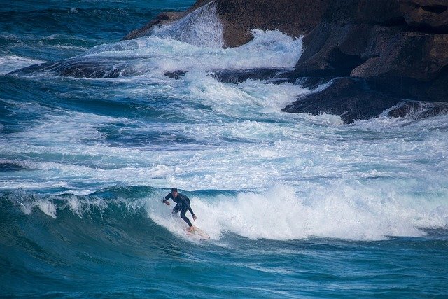 When you see waves rolling toward the shore, it might seem like the water is traveling with them. 