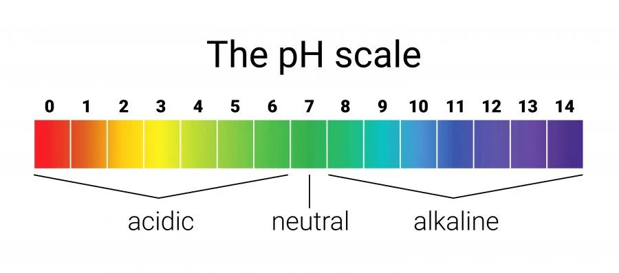 Discover what pH means and how it affects our world. A simple guide to acids, bases, and balance for kids!