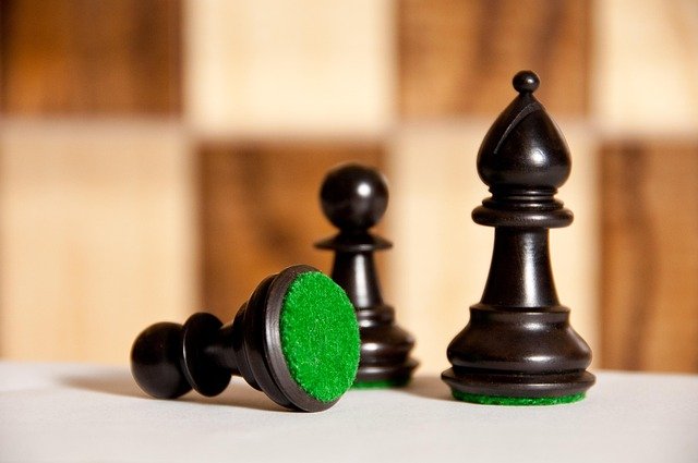 chess-1811668_640 Let’s take a step back and look at the big picture. In Cantonment, Trichy, many kids love playing chess