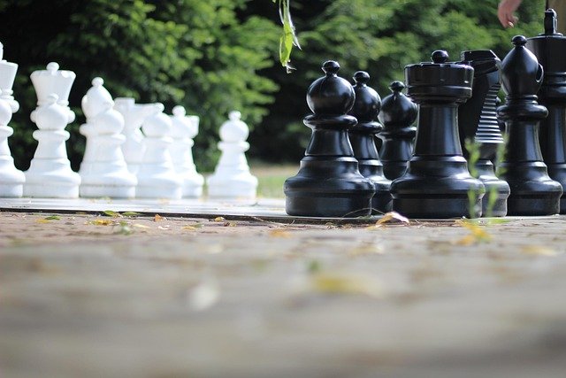 chess-3951240_640 Fairy Meadow is a lively suburb. Schools are active. Sports are popular. Families have full calendars. A typical afternoon includes homework, dinner, and maybe music or sport practice.