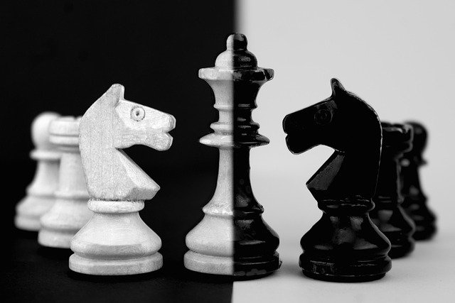 Top chess classes and tutors in The Fan District! Fun, expert-led lessons that build focus, patience, and confidence in every child.