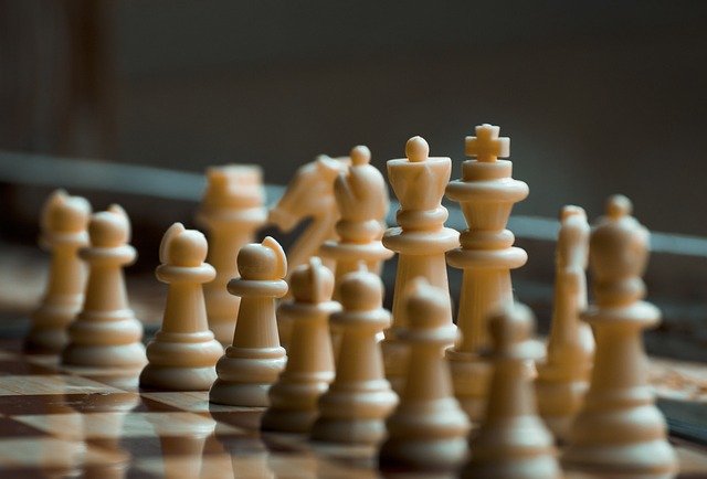 Top chess tutors and classes in Sunshine Coast! Expert-led lessons that help kids grow in focus, confidence, and smart decision-making.