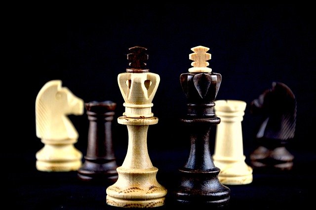 Here are the best chess academies / tutors around Applecross / Perth