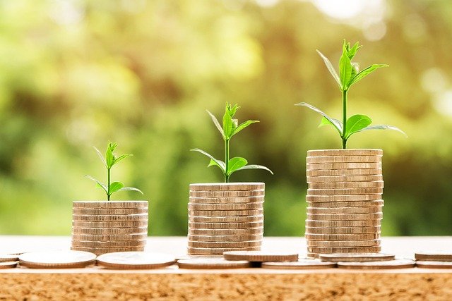 Understand how environment, resources, and opportunities impact cognitive growth in children from different backgrounds.