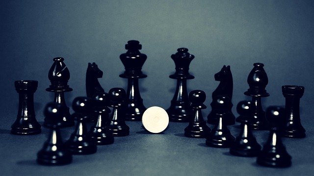 Top chess tutors & classes in Rotterdam. FIDE coaches for kids & adults. Build focus & strategy. Start your free Debsie trial today.