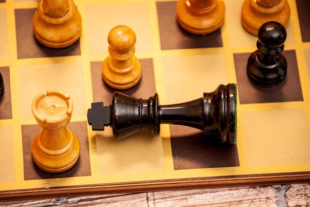 Best chess tutors & classes in Wilrijk. FIDE-certified coaches for kids & adults. Learn smarter, play better. Start your free Debsie trial today.